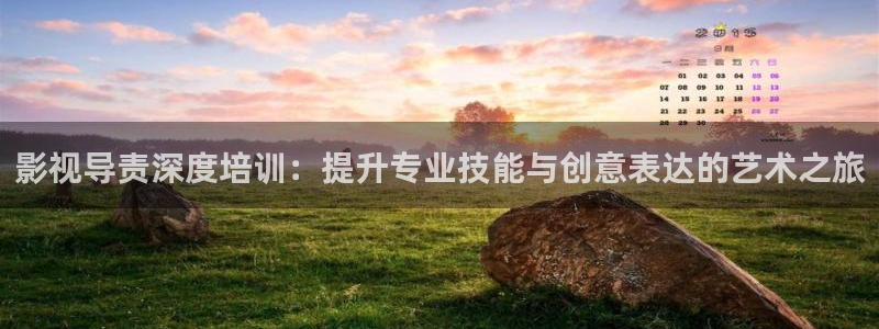 熊猫电影yy8y4免费观看：影视导责深度培训：提升专业技能与创意表达的艺术之旅