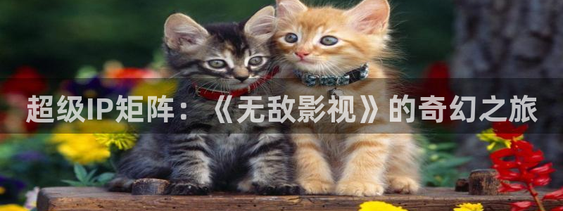 熊猫影院tv免费观看：超级IP矩阵：《无敌影视》的奇幻之旅