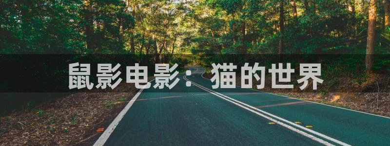 大熊猫影院.m3u8.：鼠影电影：猫的世界