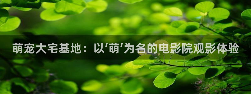 熊猫影院免费观看：萌宠大宅基地：以‘萌’为名的电影院观影体验