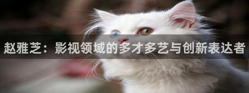 熊猫影院在线观看视频：赵雅芝：影视领域的多才多艺与创新表达者